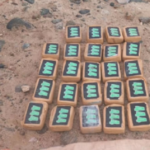 CPNB y GOES incautan 24 kilos de presunta marihuana en La Guaira